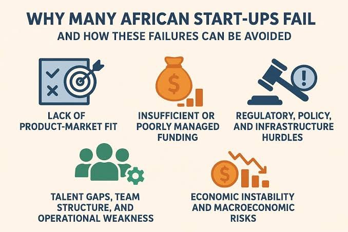 Common Reasons Startups Fail (And How to Avoid Them) 
