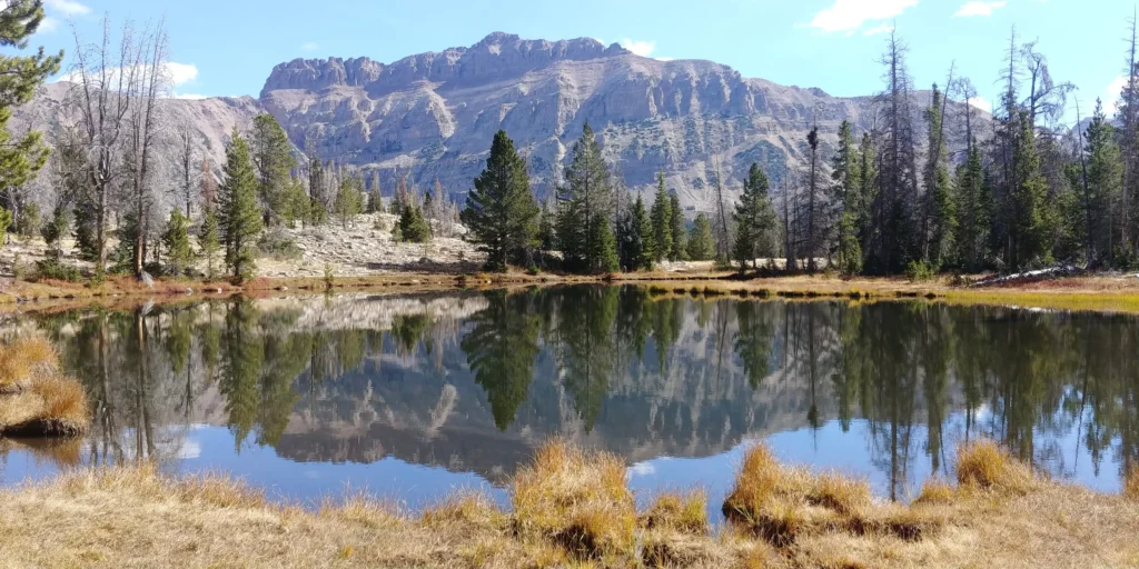 A Quiet Escape to Ruth Lake, Minnesota: Where the Simple Things Matter